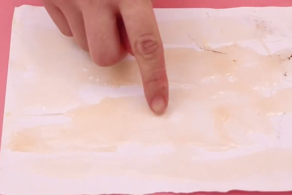 自制苍蝇贴,苍蝇贴的正确使用方法小型