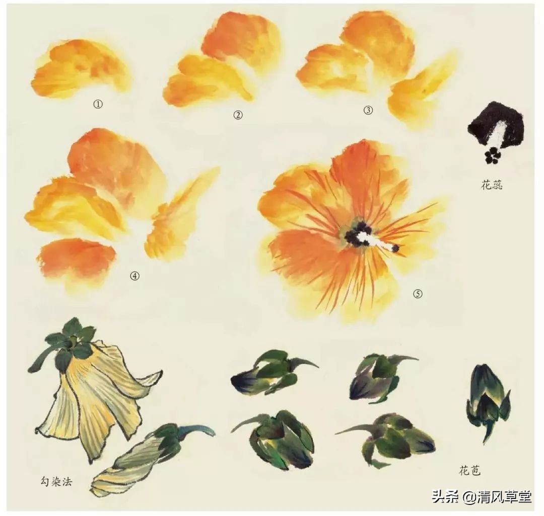 少儿国画花卉画法视频,各种花卉的100种画法