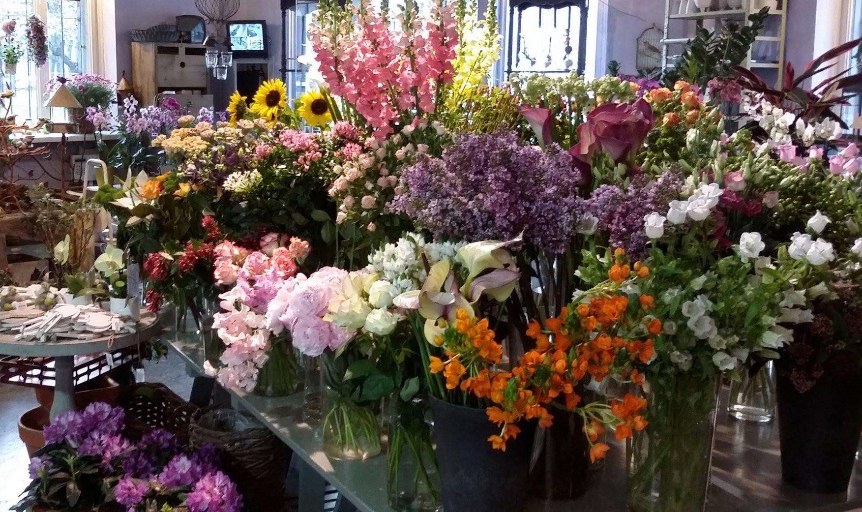 毫无名气的花店,做了一场砍价活动后,人气暴增