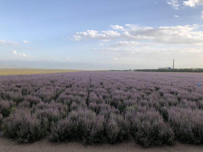 一家四口暑假日常之去游乐场,暑期全家一起大东北出游超欢乐