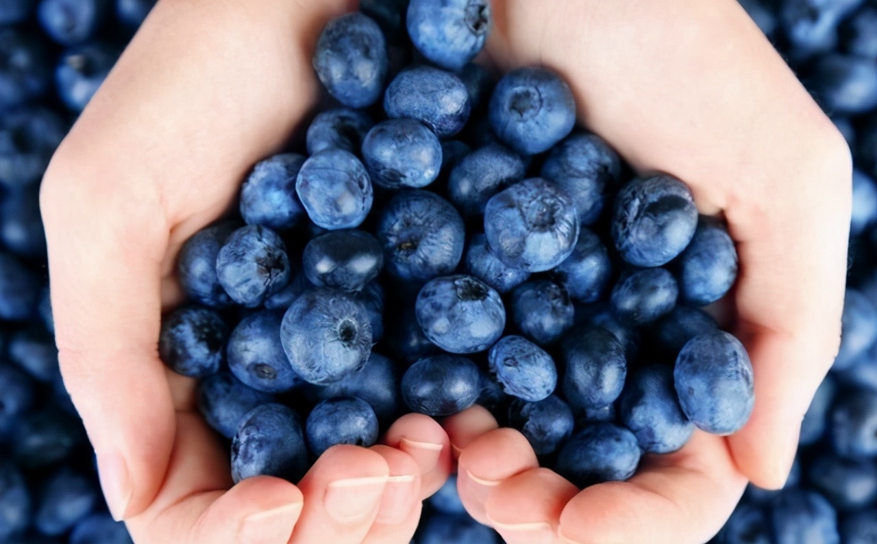 眼睛干涩模糊吃什么食物,眼睛特别干涩吃什么食物