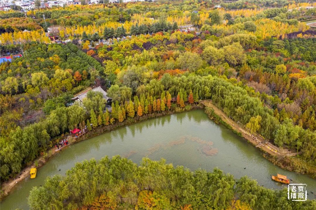 洛阳一大型网红公园免费开放,洛阳湿地公园网红打卡地