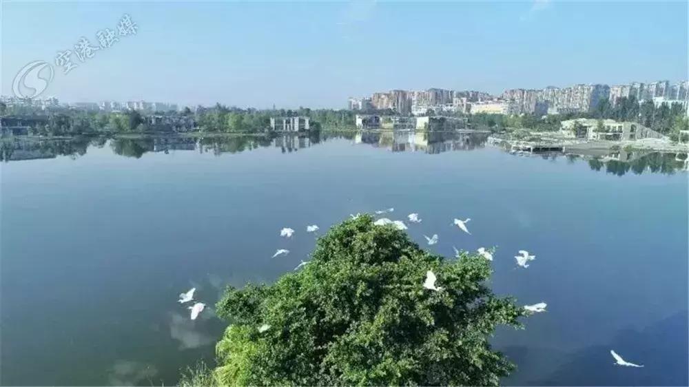 巴适自驾旅游攻略,巴适小众公园