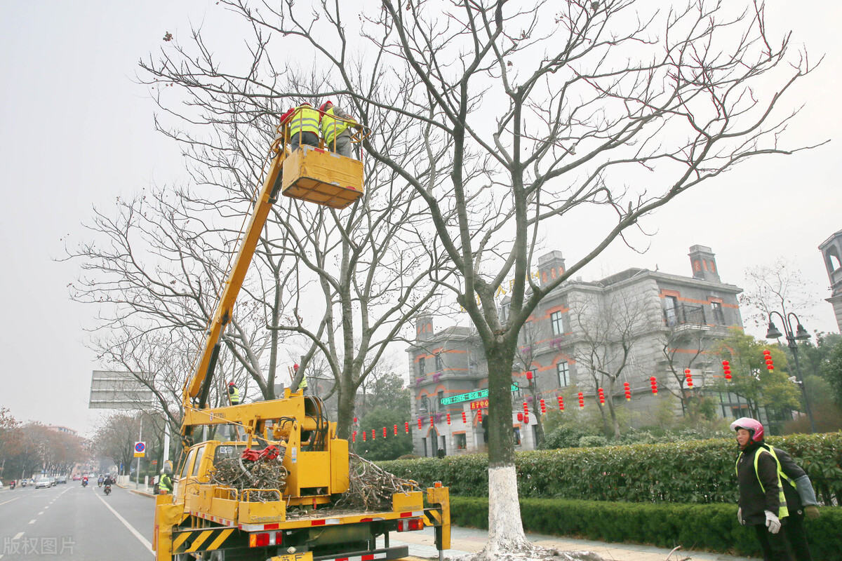 加强绿化养护管理工作,怎样抓好园林绿化管理