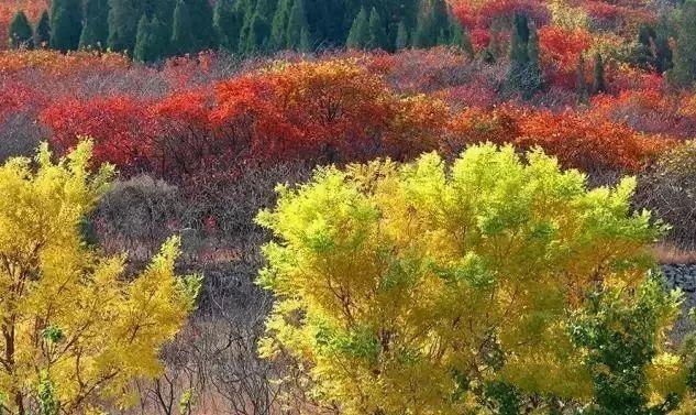 济南旅游景点推荐带孩子玩,济南旅游景点推荐适合带孩子