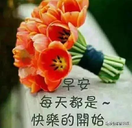 微信早上好最暖心祝福问候语,微信早上好问候语温馨短句图片