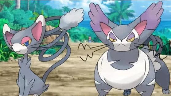 全部神奇宝贝的进化是什么样子的,神奇宝贝遇到自己庞大的进化体