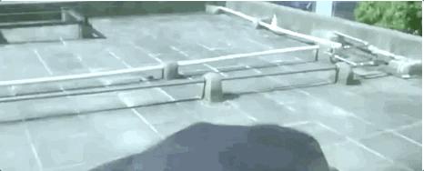 这么多年了，你终于想起来自己还是个演员？