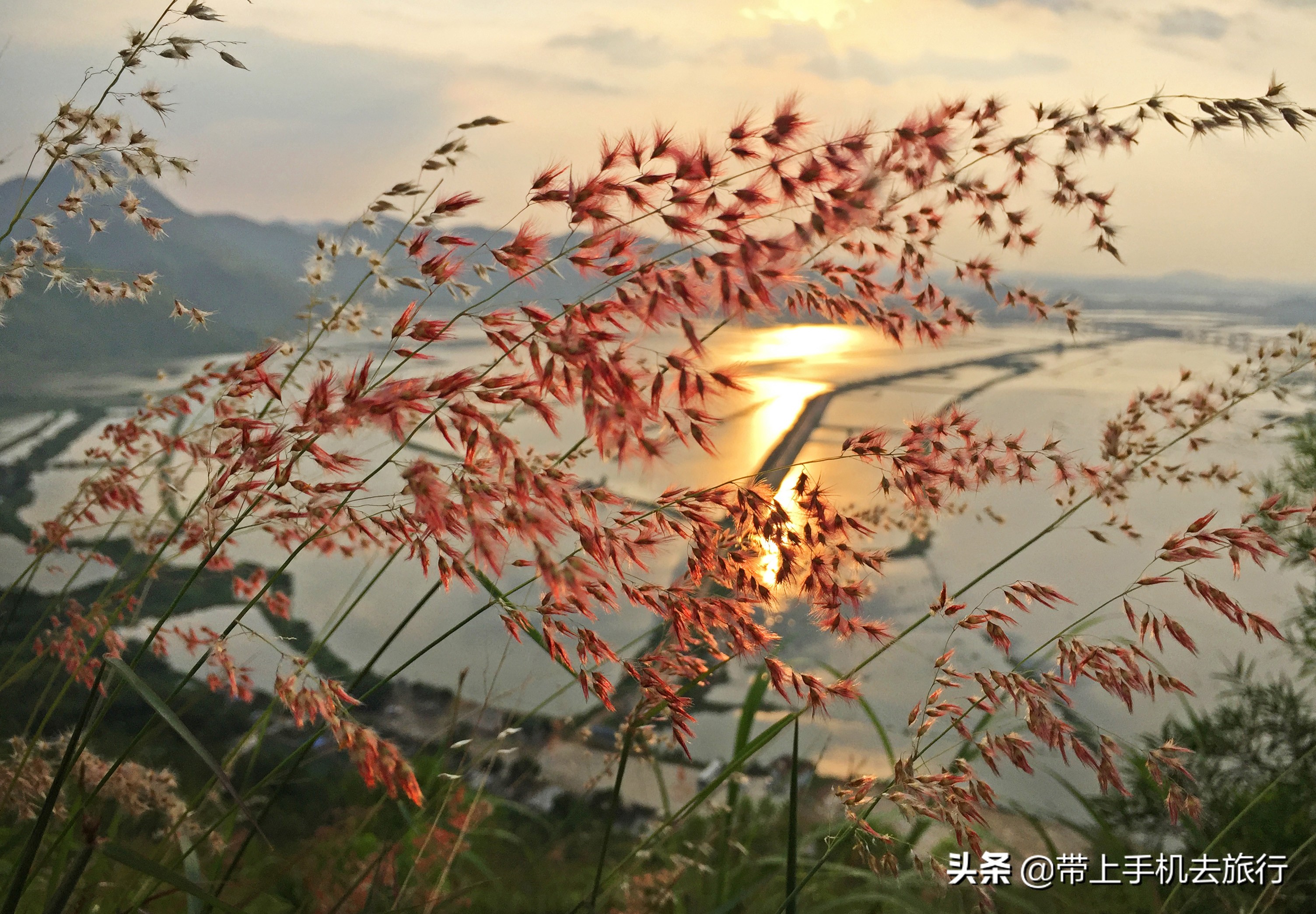 手机作品精准投稿16窍门