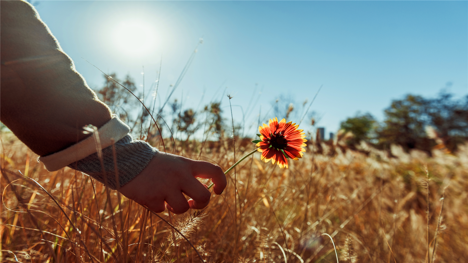 如何分辨男人是追你还是撩你,判断一个男人是不是暗恋你