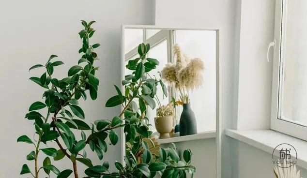 不要过打折的生活是什么意思,不要过打折的生活