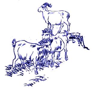 中国民间传统纸牌图案,中国民间传统图案