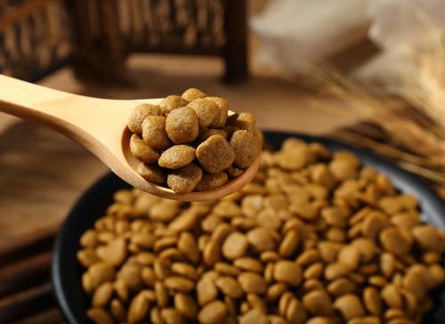 边牧吃什么牌子的狗粮好,边牧专用狗粮什么牌子好