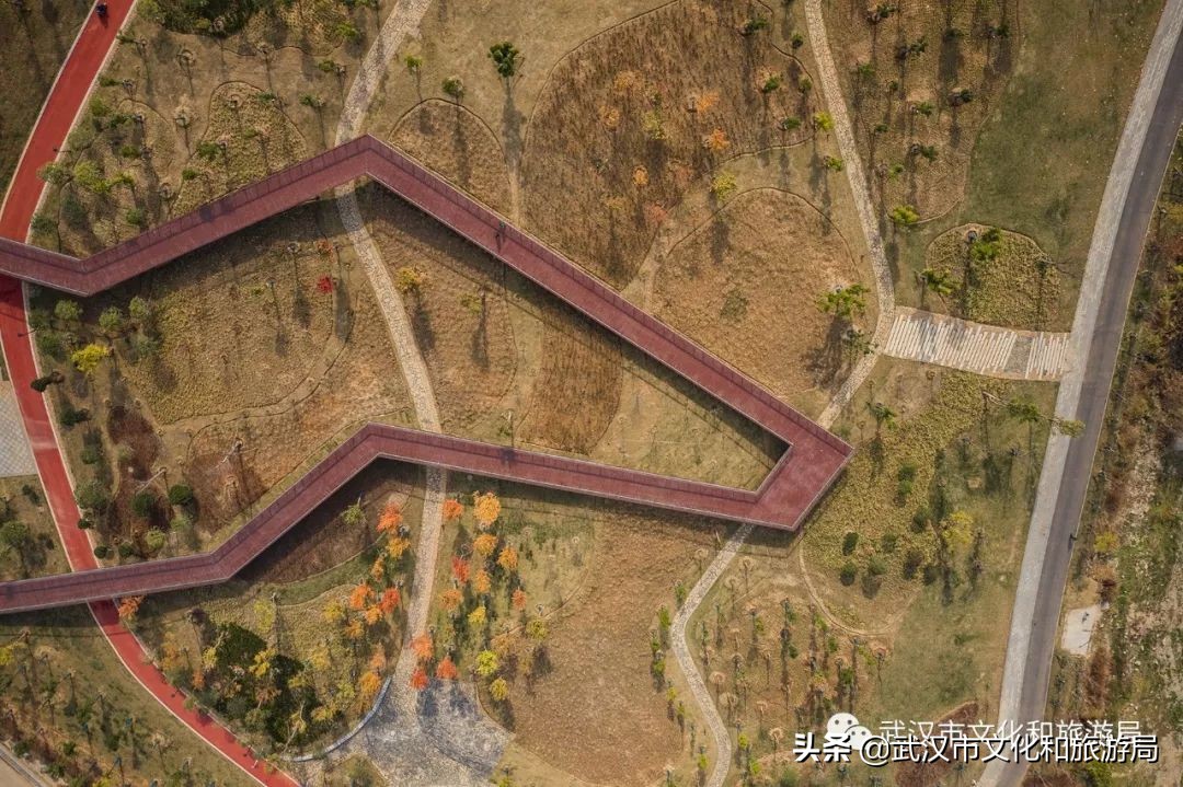 武汉江滩特大桥,武汉新建江滩