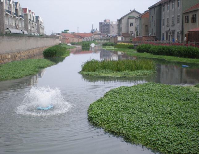 农村黑臭水体治理工作指南试行,黑臭水体治理总结
