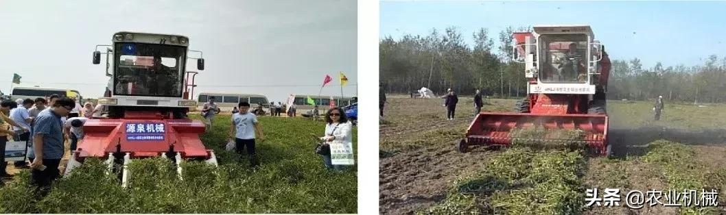 花生联合收获机趋势,花生联合收割机市场分析