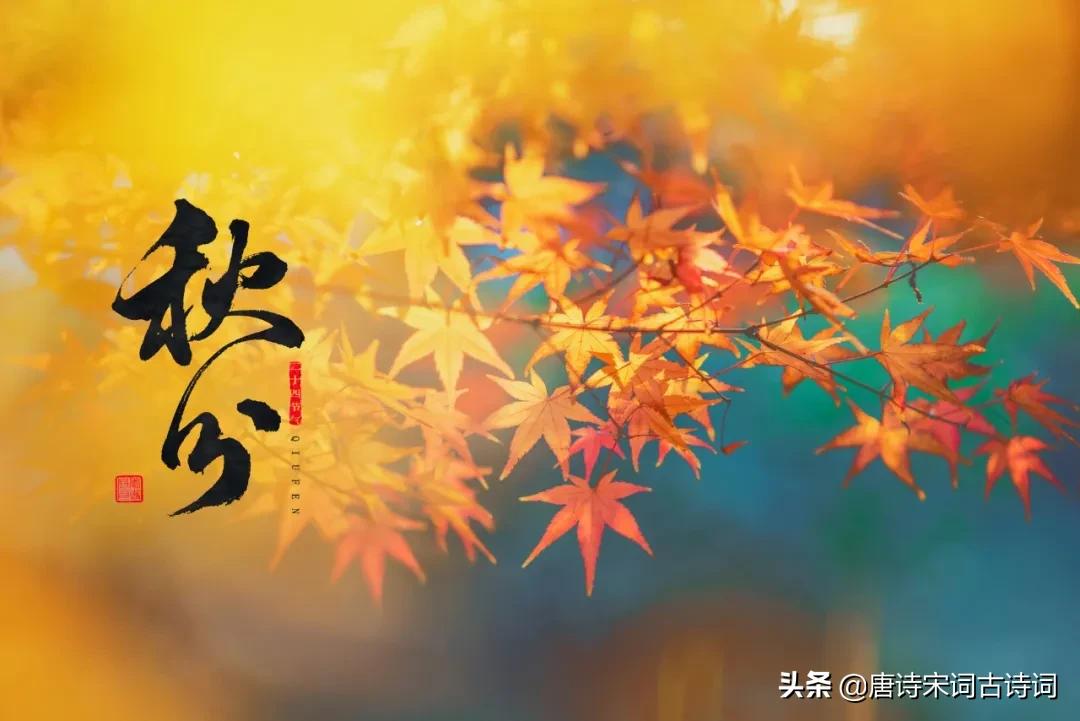 今日秋分轻寒正是可人天,风清露冷秋期半是什么意思