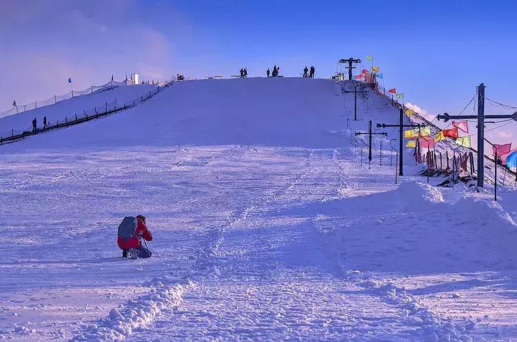 2020宁夏一日游旅游景点推荐,银川一日游最佳地方宁夏海洋公园