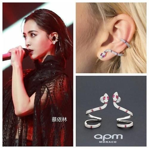 明星同款耳环高级感是什么品牌的,明星都戴什么小众牌子耳环