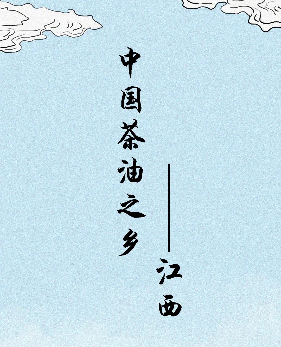 江西茶油树图片,江西茶油价格表