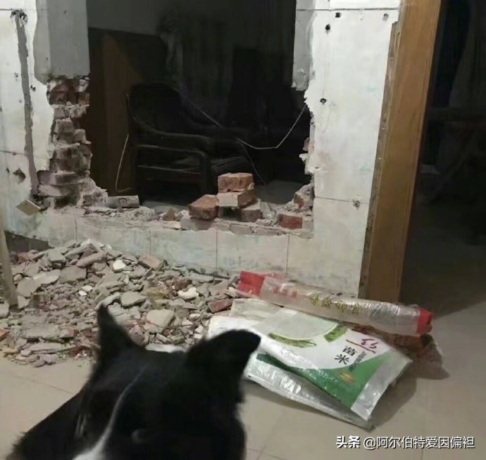 关于女生玩游戏的搞笑段子,游戏搞笑段子哪里找的