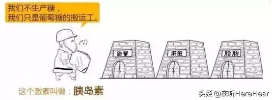 糖尿病一定要知道的事,糖尿病你还需要知道这些事