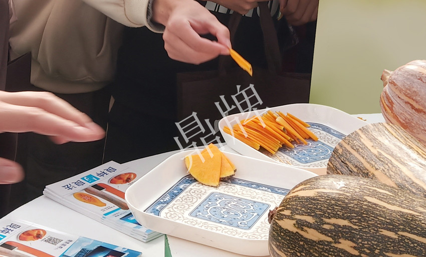 2010年的科研成就,10年潜心研究12项专利