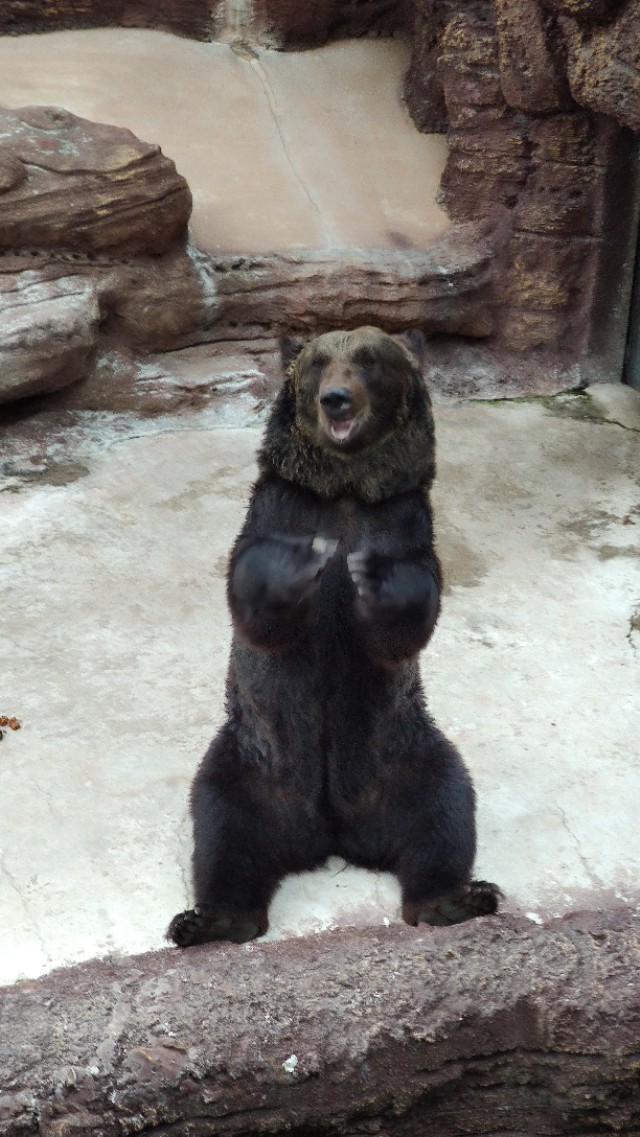 福州欧乐堡海洋世界家庭套票团购,福州欧乐堡海洋世界门票价格