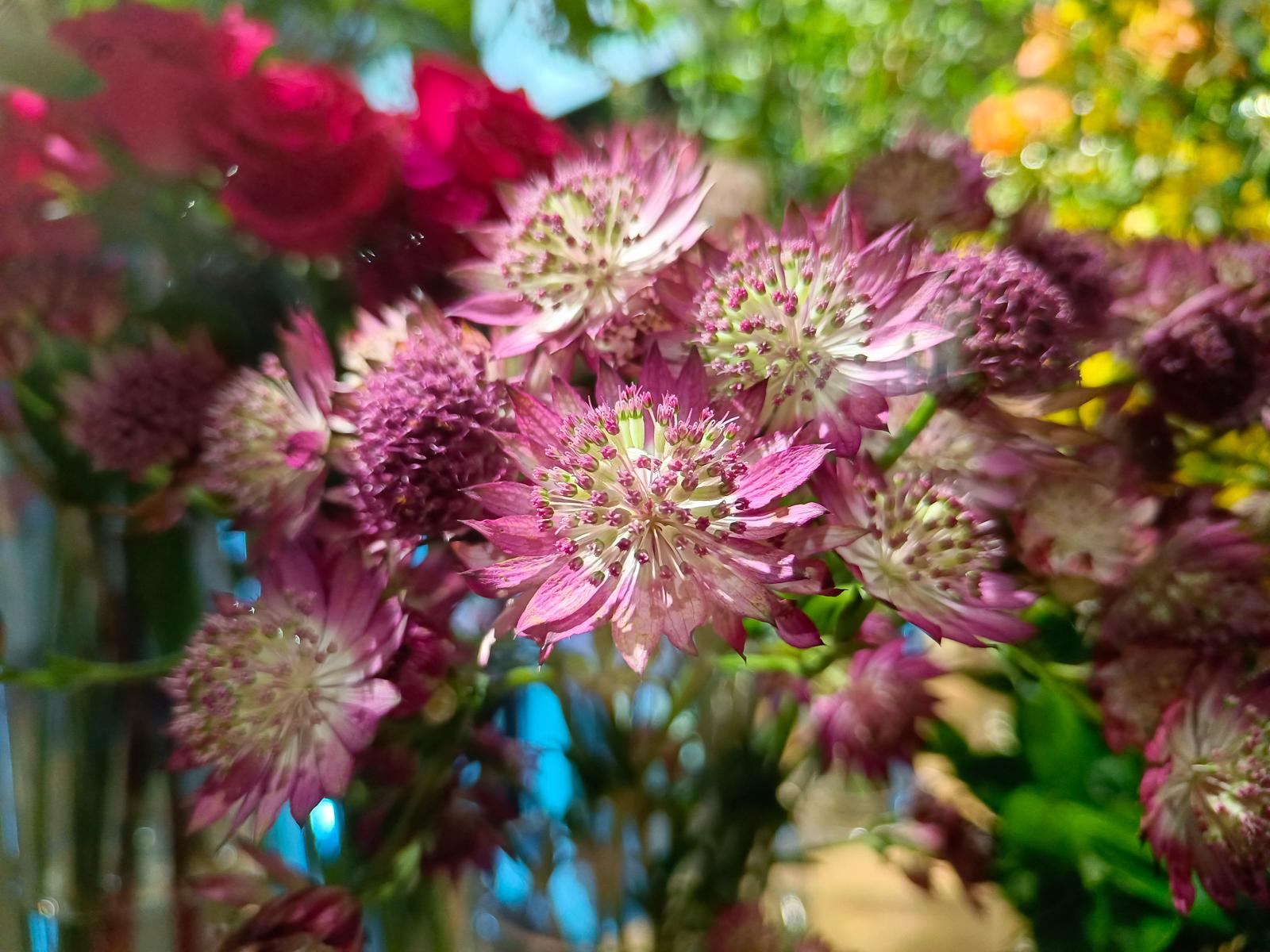 vivos10pro5g手机如何,vivos10pro是不是5g手机