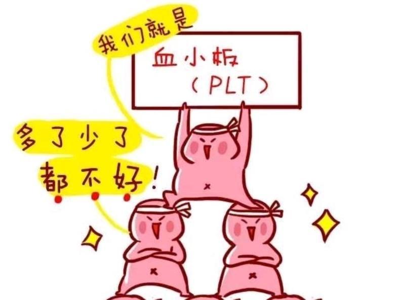 血小板低吃什么血小板高好得快,血小板低吃什么可以补血小板