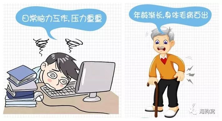 伟博天然深海鱼油礼盒,好物便宜鱼油