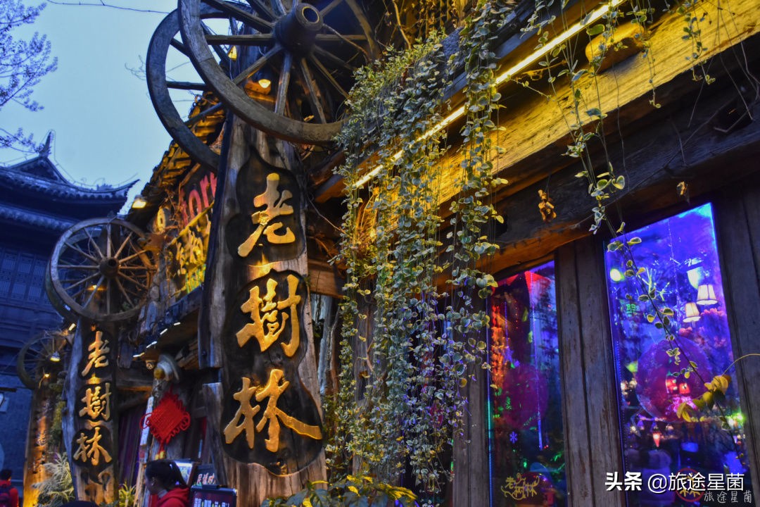 西栅景区攻略,乌镇西栅晚上10点免票攻略