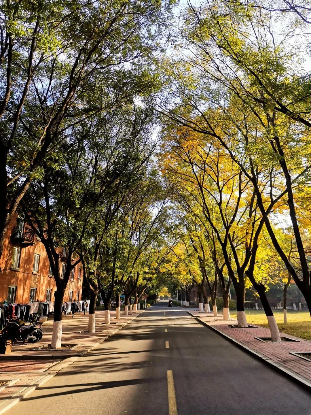 辽宁工程技术大学辽宁省分数线,辽宁工程技术大学在辽宁省排名