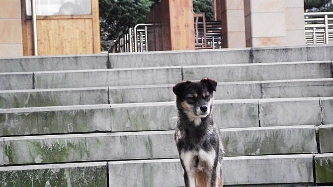 宜兴竹海山顶华南第一峰,宜兴华东第一竹海