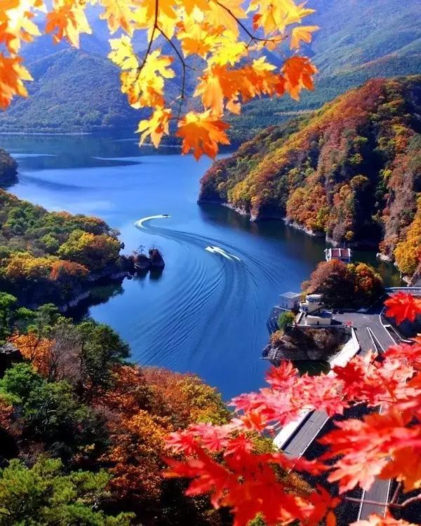 绿水青山鸟语花香人间仙境,绿水青山世外桃源人间美景