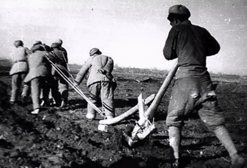 骑毛驴去看毛主席的库尔班，临终：后代参军报国，重孙女完成遗愿