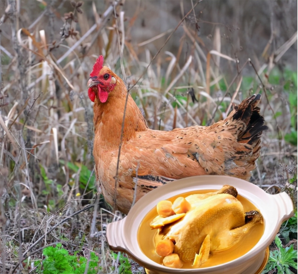 宰鸡时鸡身上的毛根部怎么去掉,鸡肚子里有一包水能不能吃