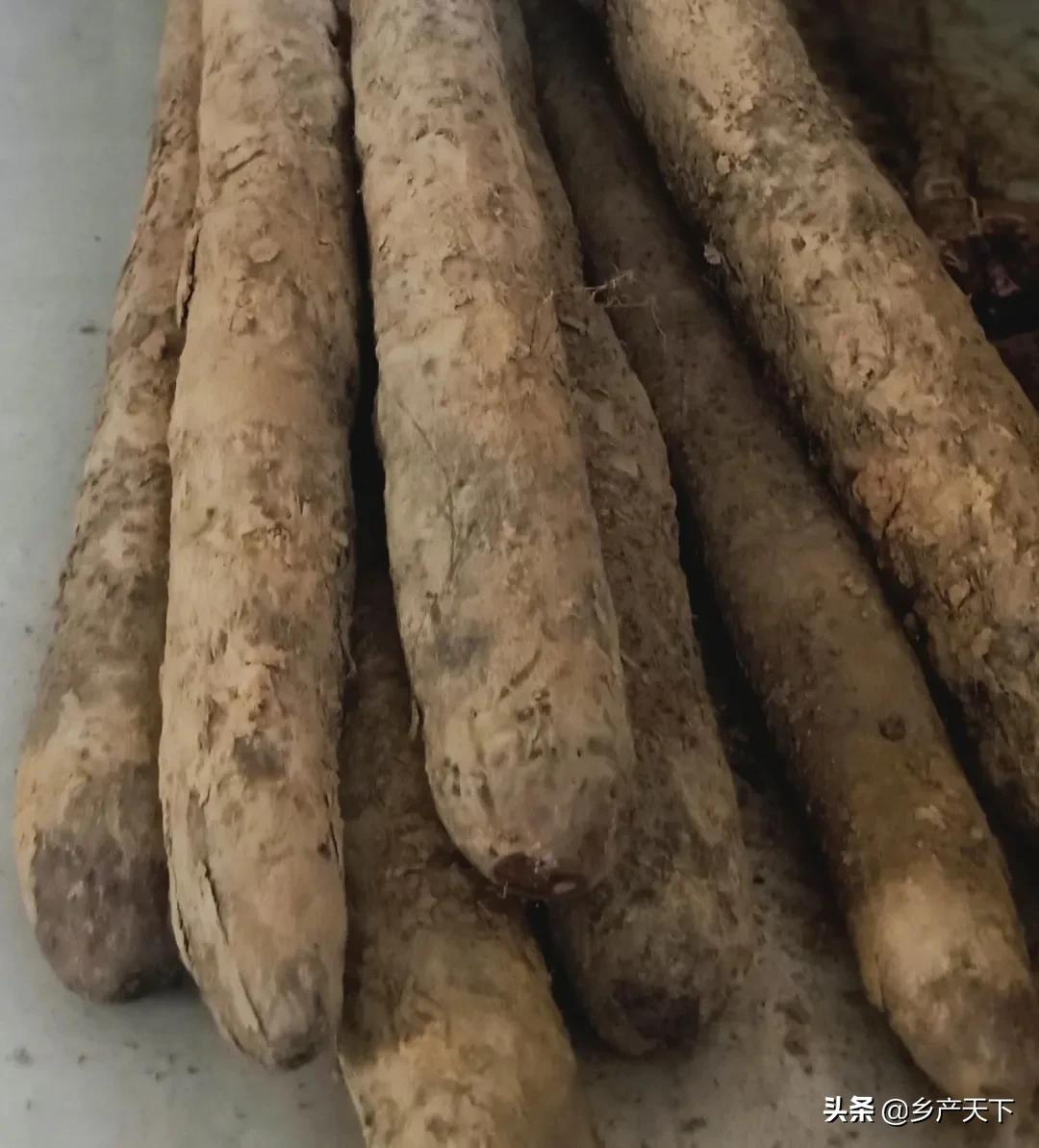 彭掌柜潮汕,革新街彭掌柜