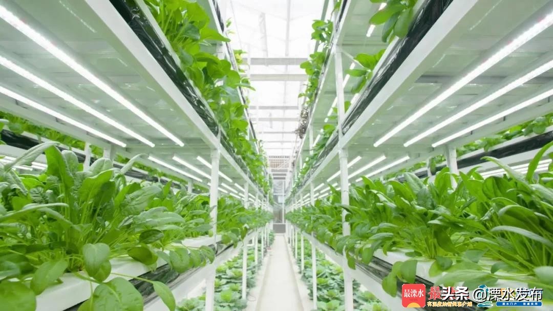 溧水区白马镇农业示范区,溧水白马科技园区