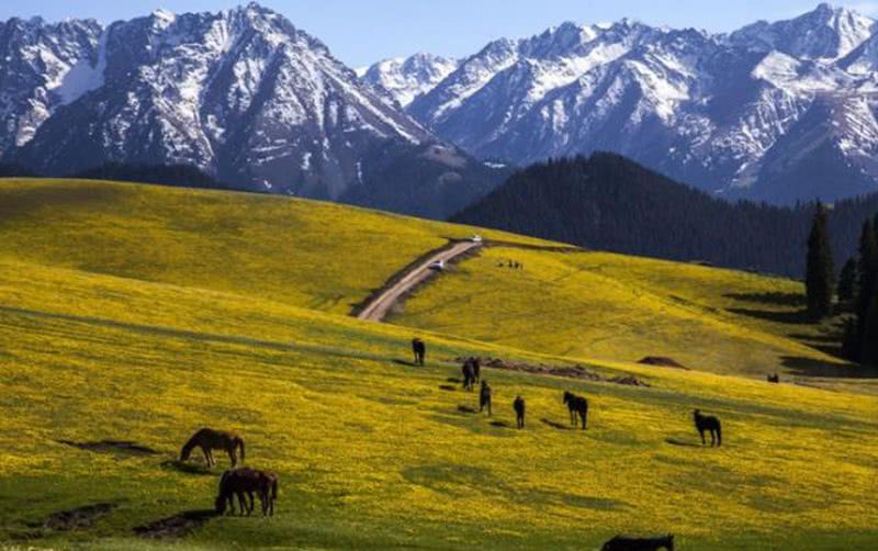 塔里木盆地地下水储量是真的吗,为什么塔里木盆地地下水丰富