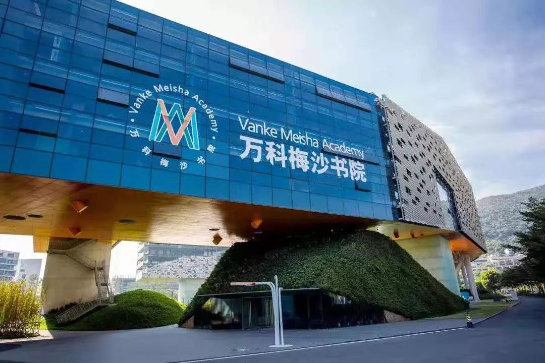 深圳市民办高中排名前20名,深圳民办高中排名前十名