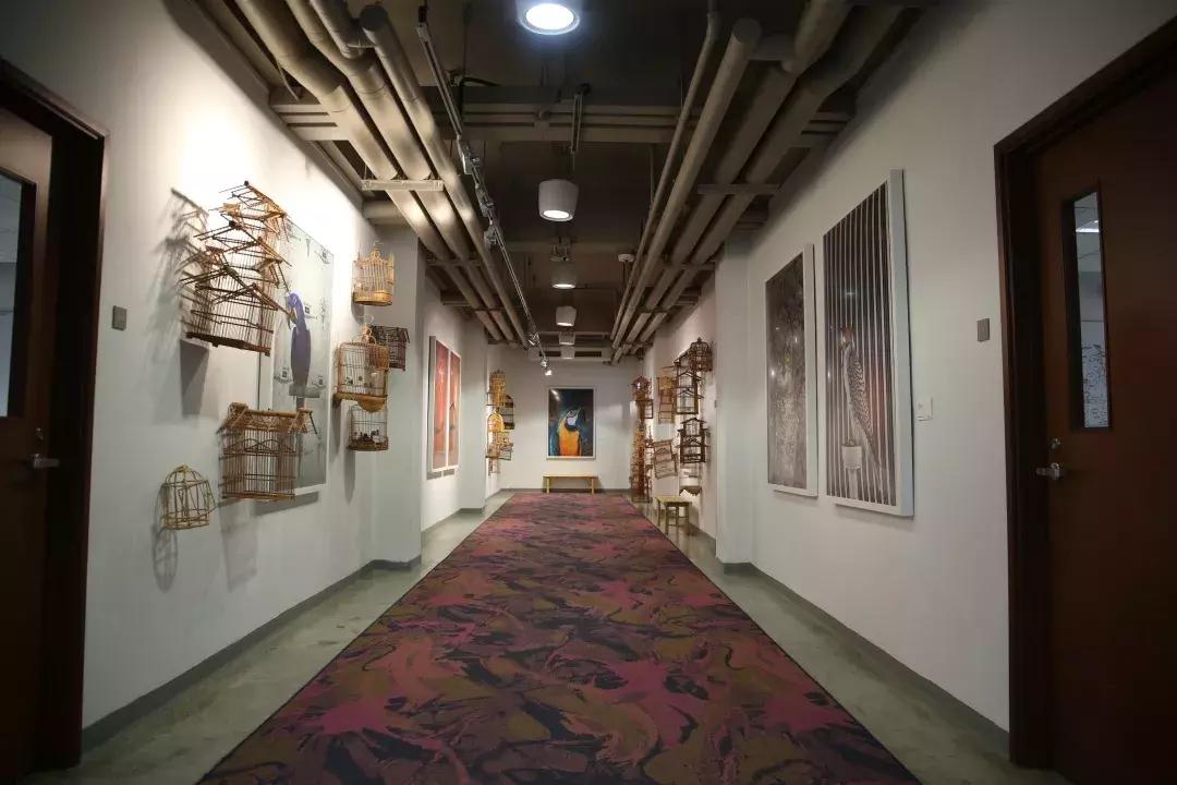 scad萨凡纳大学,scad萨凡纳艺术设计学院官网