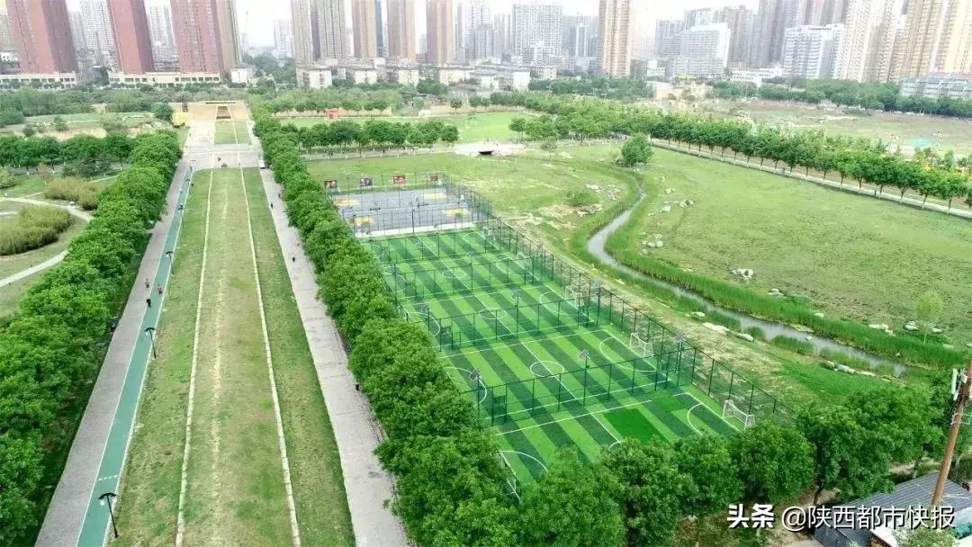 西安免费开放跑道体育场,西安体育场免费开放