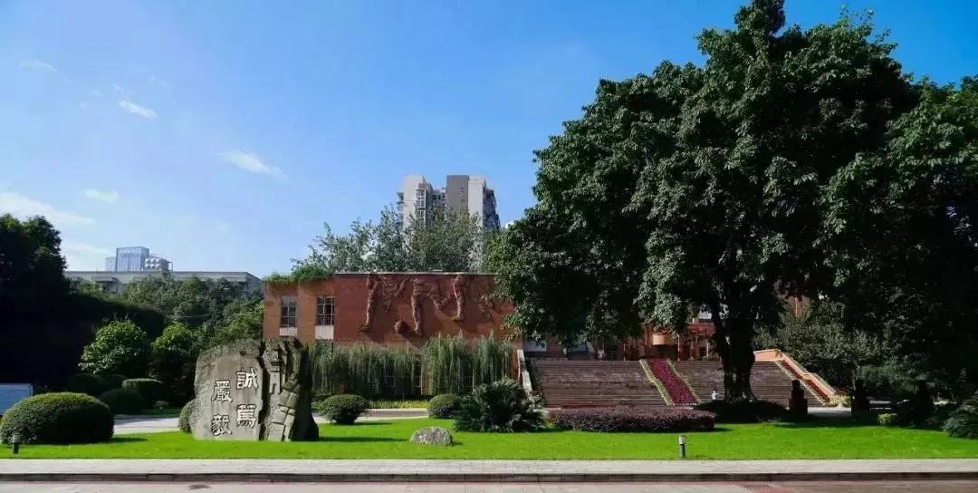 成都各高校附属小学,成都各大学的附属学校