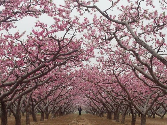 多彩贵州醉人美,多彩贵州就是美