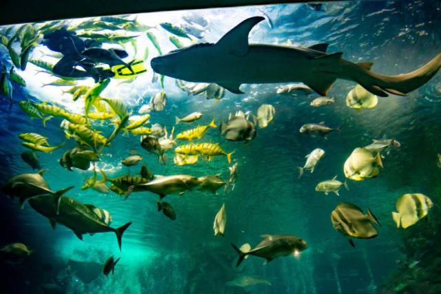 2024年锦绣江山全国旅游年卡,98元锦绣江山京津冀联名年卡