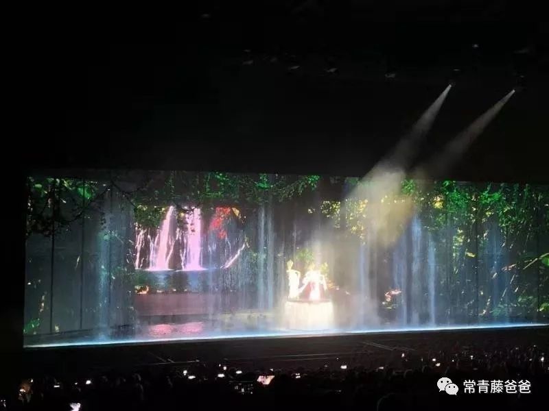 三亚clubmed游记,三亚clubmed度假村攻略