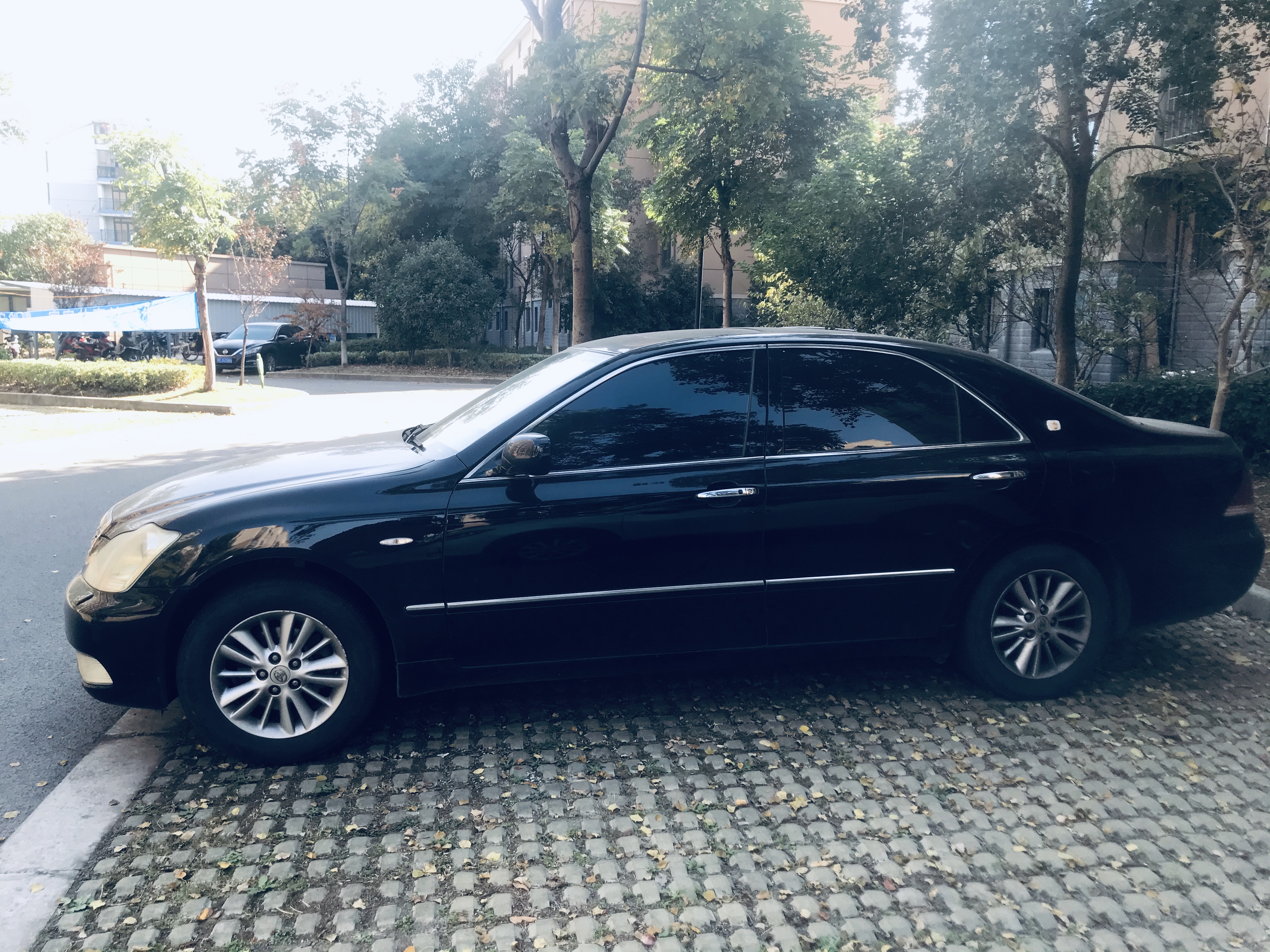 意外收获巨无霸,意外收获超级加倍名牌