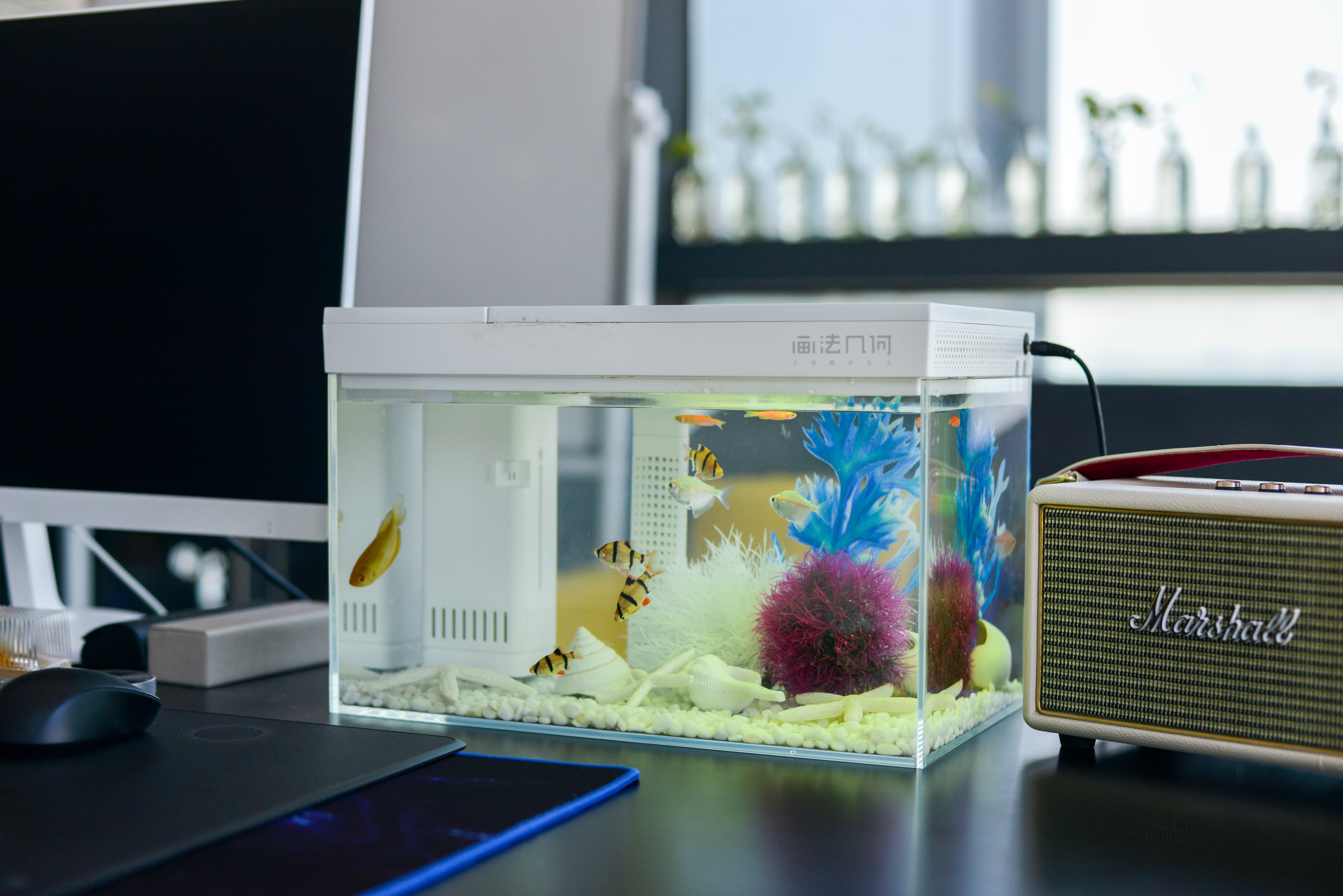 灏忕背鏅鸿兘鎶曞杺楸肩几,灏忕背绫冲鏅鸿兘楸肩几鎬庝箞鎺у埗鐏厜