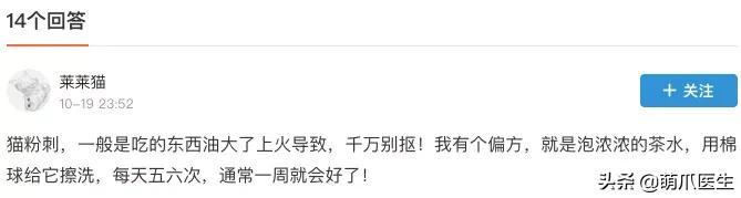 猫咪黑下巴毛囊炎的终极解决办法,猫咪有毛囊炎胡须还能长出来吗